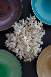 Bowls 02
